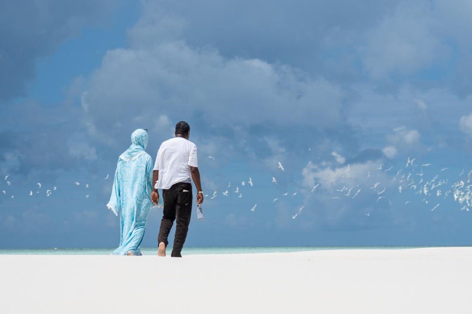 Ocean & Islands
